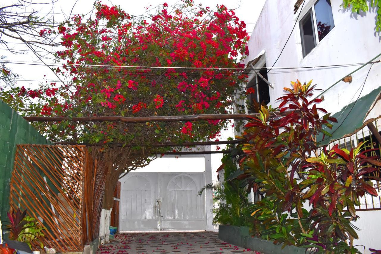 Lobo Inn Τουλούμ Εξωτερικό φωτογραφία
