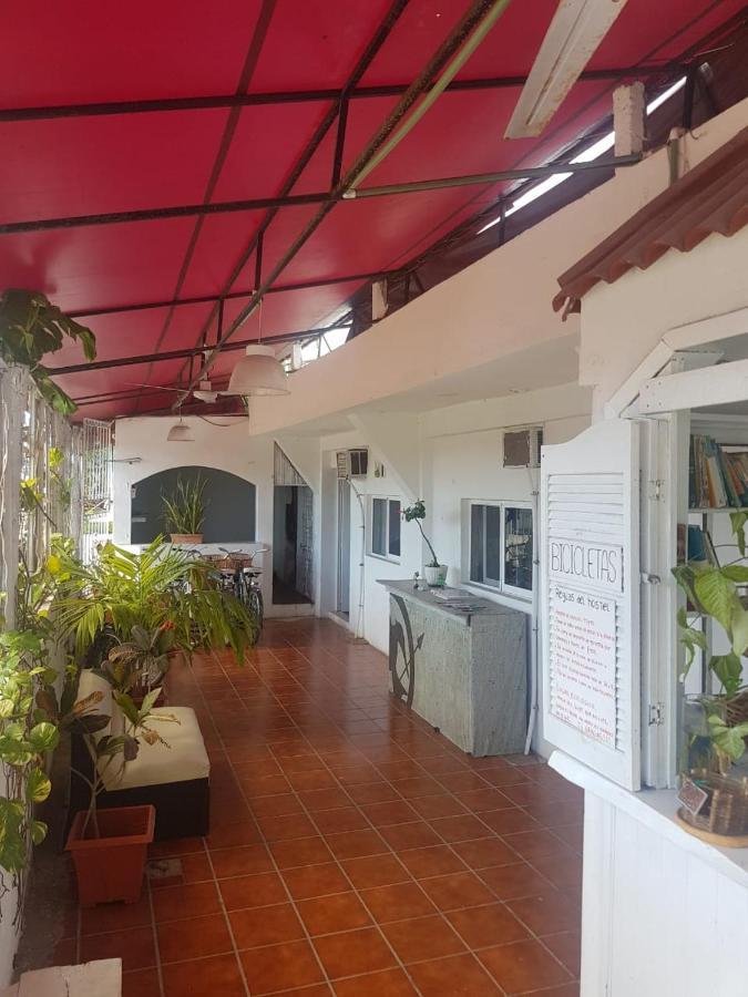 Lobo Inn Τουλούμ Εξωτερικό φωτογραφία