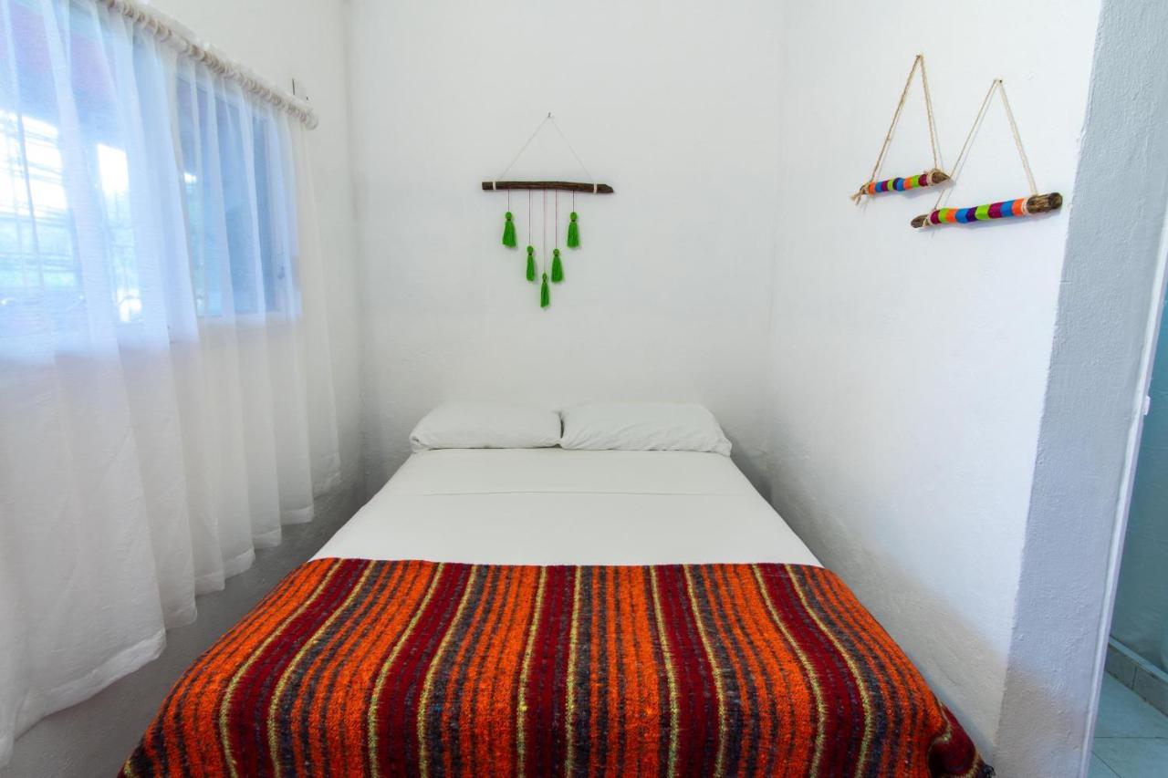 Lobo Inn Τουλούμ Εξωτερικό φωτογραφία