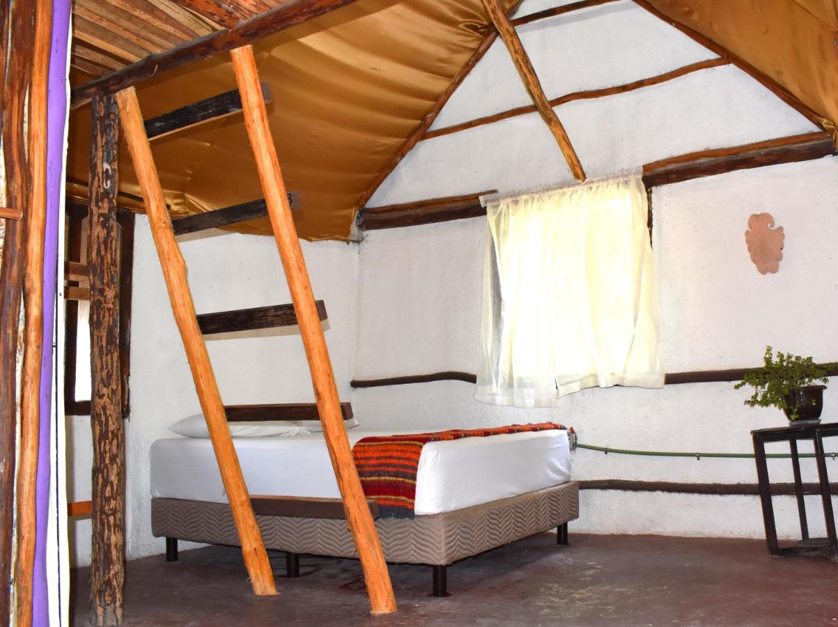 Lobo Inn Τουλούμ Εξωτερικό φωτογραφία