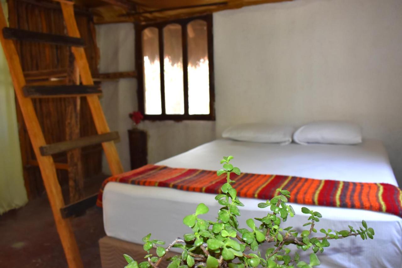 Lobo Inn Τουλούμ Εξωτερικό φωτογραφία