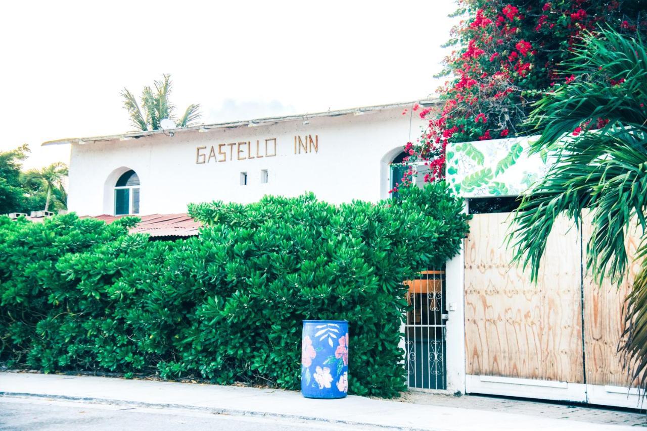 Lobo Inn Τουλούμ Εξωτερικό φωτογραφία