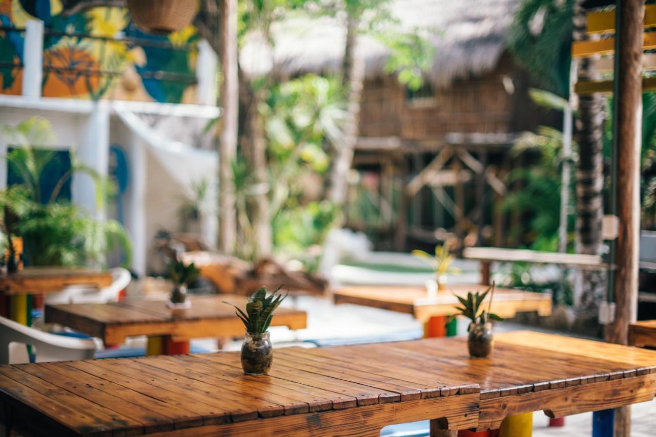 Lobo Inn Τουλούμ Εξωτερικό φωτογραφία